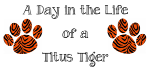 A Day in the Life of a Titus Tiger A Day in the Life of a Titus Tiger